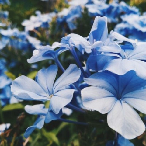 Εορτολόγιο 13 Μαΐου