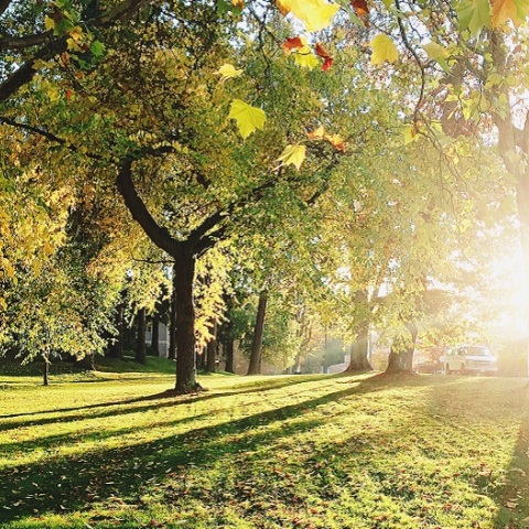 Δήμαρχοι για το δίκτυο C40 και την ανάκαμψη