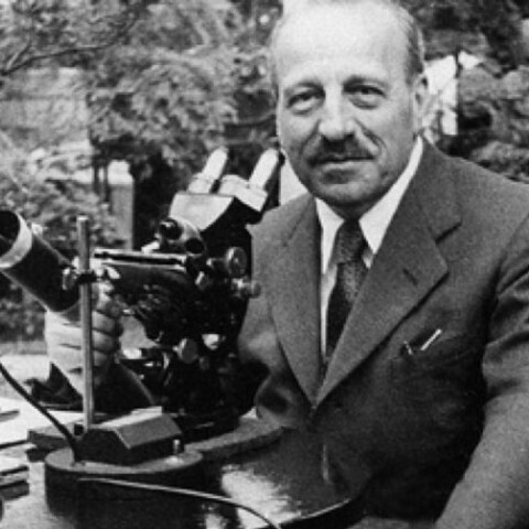 O Γεώργιος Παπανικολάου