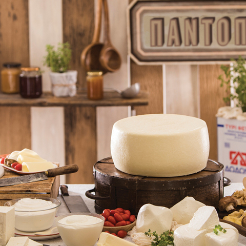 Γαλακτοβιομηχανία ΔΩΔΩΝΗ