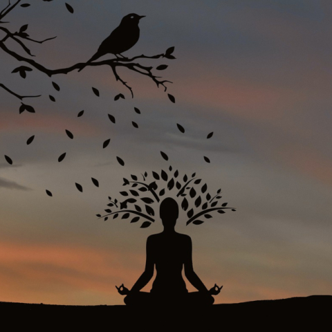 Τα ζώδια της Παρασκευής 15 Μαΐου 2020