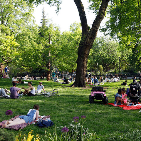 Νέα Υόρκη, Κορωνοϊός