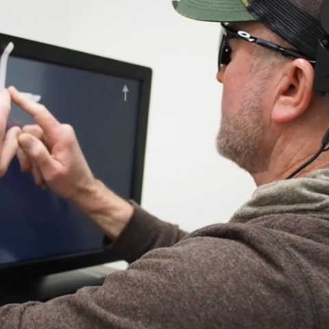 brain implants blind people