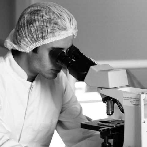 Η Bristol Myers Squibb και η Exelixis ανακοινώνουν θετικά συνοπτικά αποτελέσματα από την πιλοτική μελέτη Φάσης 3 CheckMate -9ER που αξιολογεί το nivolumab σε συνδυασμό με cabozantinib στο μη προθεραπευμένο προχωρημένο νεφροκυτταρικό καρκίνωμα