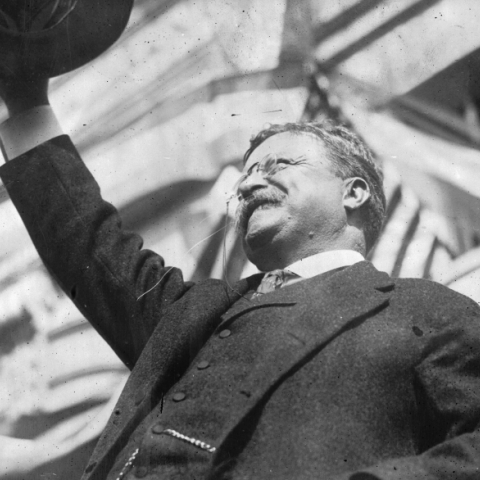 Θεόδωρος Ρούζβελτ