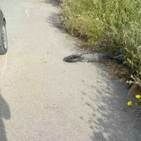 Κρήτη: Ανήλικος που έκανε ηλεκτρικό πατίνι, τραυματίστηκε σε τροχαίο