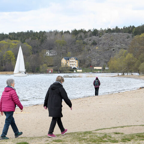 Κορωνοϊός, Σουηδία 