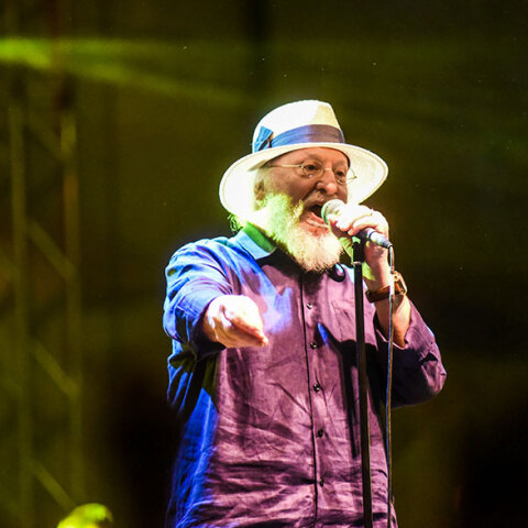 Διονύσης Σαββόπουλος 