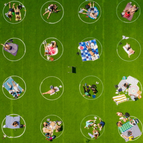 Domino Park social distancing circles