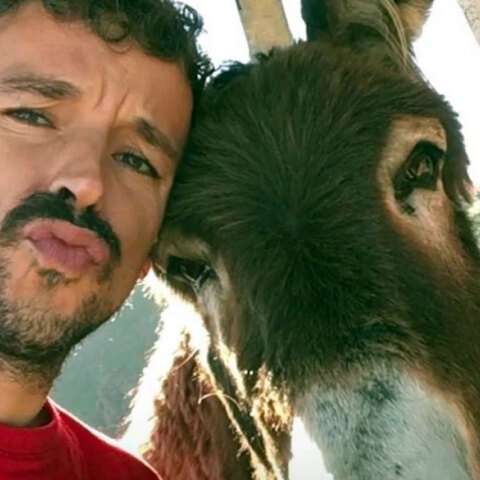 Ισπανία, κορωνοϊός