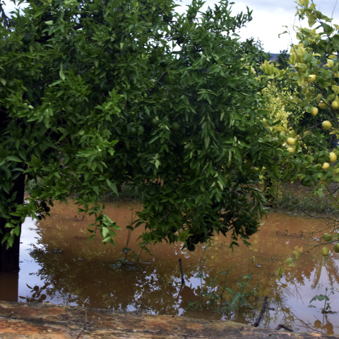 Αποζημιώσεις ΕΛΓΑ σε αγρότες για καταστροφές 