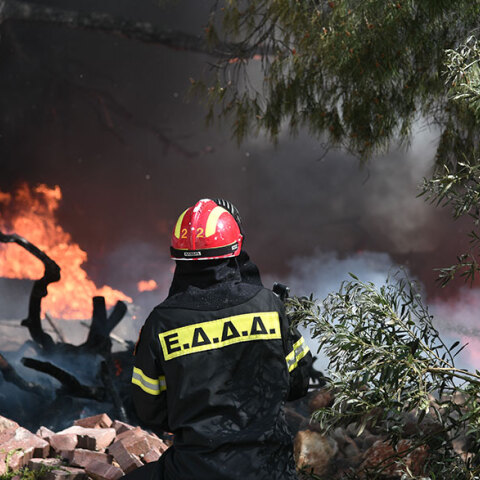 Φωτιά στην Αττική