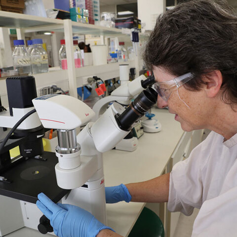 Κορωνοϊός και έρευνα 