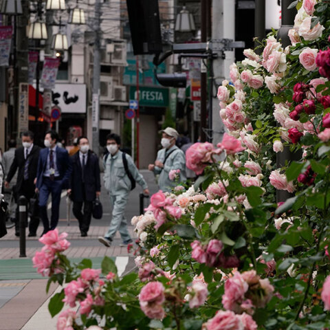 Ιαπωνία, Κορωνοϊός