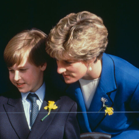 Πρίγκιπας Ουίλιαμ, Πριγκίπισσα Νταϊάνα