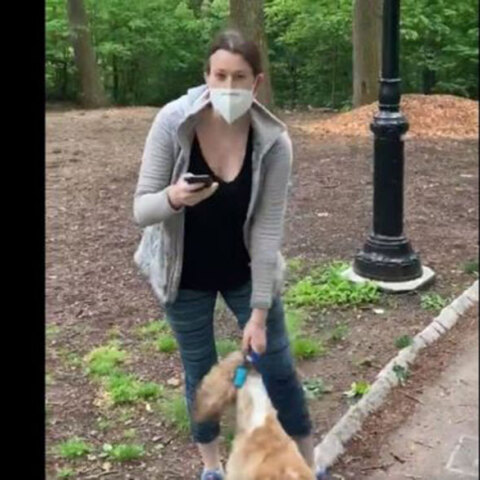 Έιμι Κούπερ