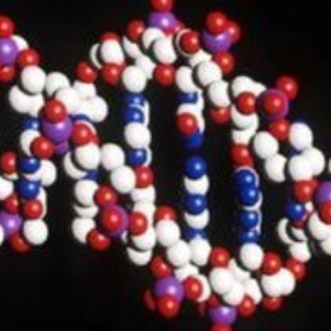 Γονίδιο της άνοιας αυξάνει τον κίνδυνο για σοβαρή Covid-19