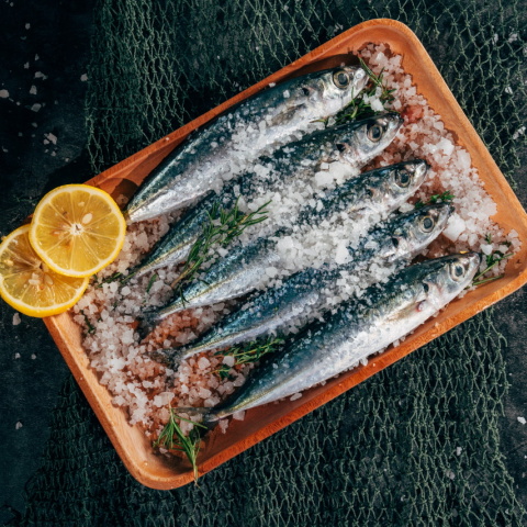 Τα αλίπαστα στην Ελλάδα από τη δεκαετία του '60 μέχρι σήμερα