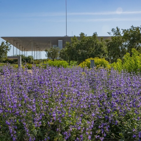 Κέντρο Πολιτισμού Ίδρυμα Σταύρος Νιάρχος