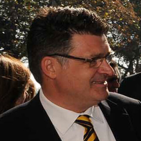 Δημήτρης Πέτροβιτς