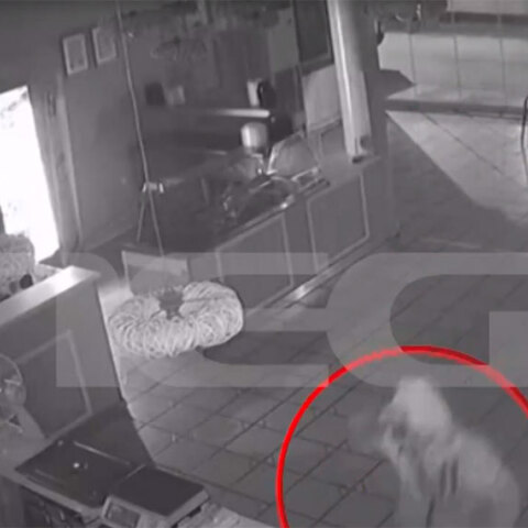 Καρέ-καρέ η εισβολή κλεφτών σε εστιατόριο στο Ίλιον 