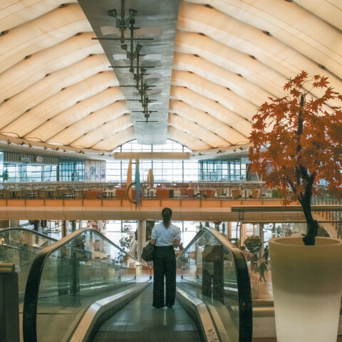 Το εμπορικό κέντρο Avenue