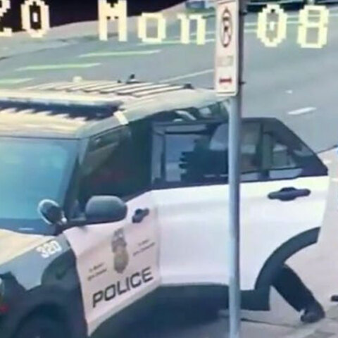 Αστυνομική βία, ΗΠΑ