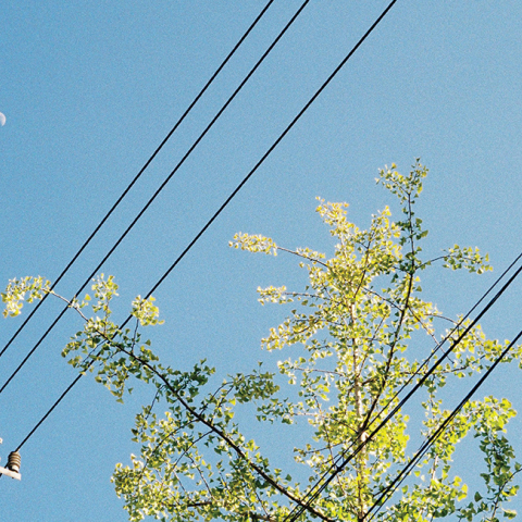 Big Game για την Ενέργεια: Ο ΔΕΔΔΗΕ εκσυγχρονίζεται και μετεξελίσσεται σε μια εταιρία σύγχρονης τεχνολογίας με αναβαθμισμένες υπηρεσίες