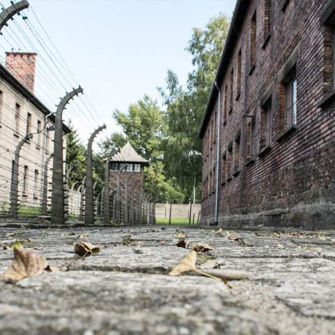 Μνημείο του Άουσβιτς: «Κατέρρευσε» ο προϋπολογισμός λόγω κορωνοϊού - Έκκληση για δωρεές