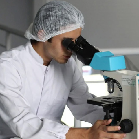 Γιατρός - έρευνα 