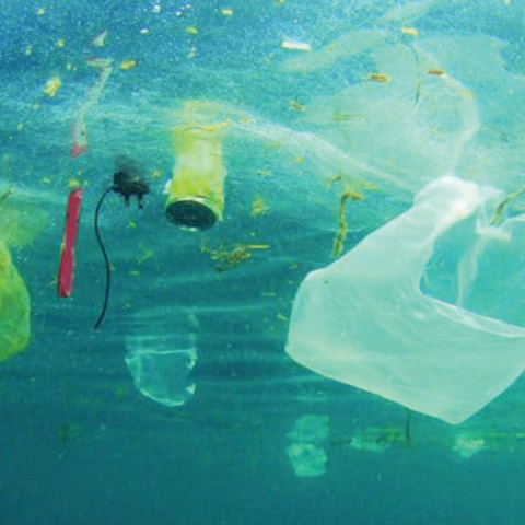 Ρύπανση της θάλασσας από πλαστικά είδη μίας χρήσης