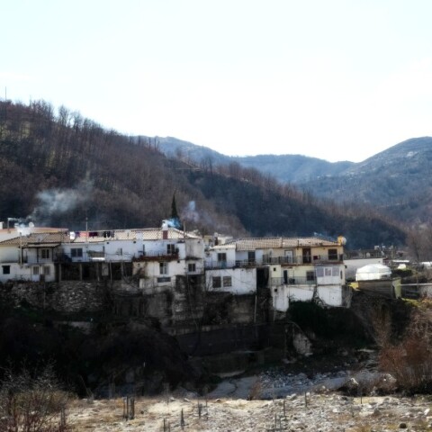 Εχινος Ξάνθης