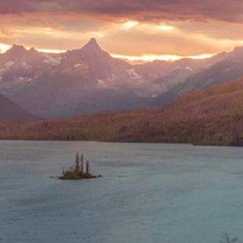 Η φωτογραφία που «κρασάρει» τα Android