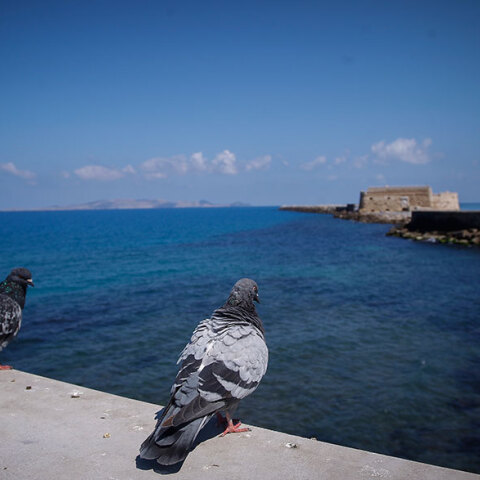 Ηράκλειο Κρήτης: Στην Εντατική νοσοκομείου ο άνδρας που έπεσε στο ενετικό λιμάνι