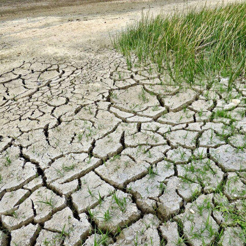 Προστασία περιβάλλοντος και κλιματική αλλαγή