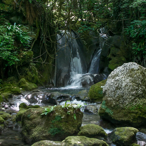 Παγκόσμια Ημέρα Περιβάλλοντος: Το ΥΠΕΝ προστατεύει με έργα το περιβάλλον - Οι 11 παρεμβάσεις
