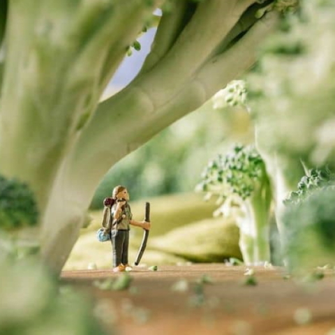 Erin Sullivan I Our Great Indoors