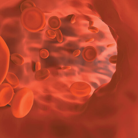 Νεότερα θεραπευτικά δεδομένα για ενήλικες ασθενείς με β-θαλασσαιμία