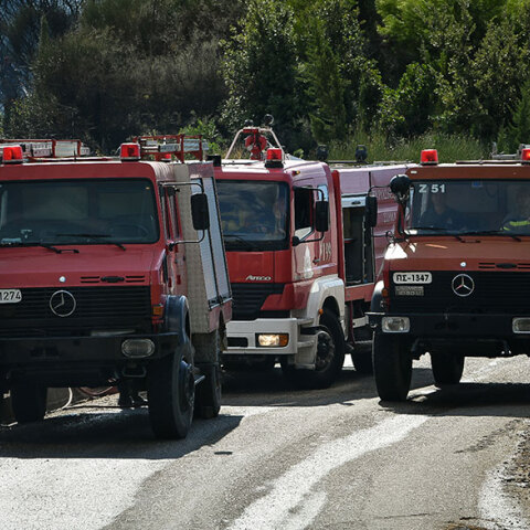 Φωτιά, Ηλεία