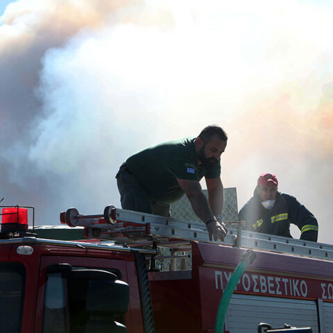 Φωτιά, Χαλκιδική