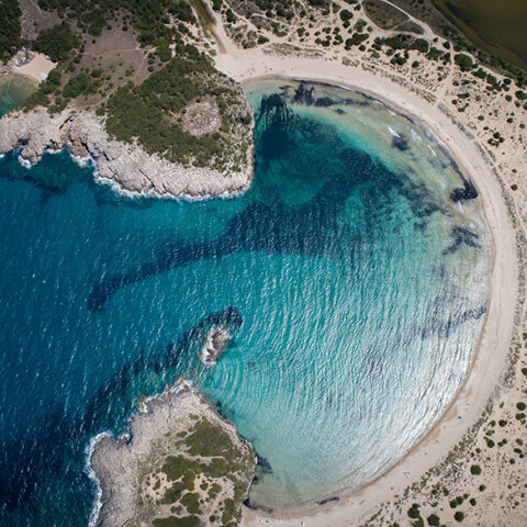 Βοϊδοκοιλιά 