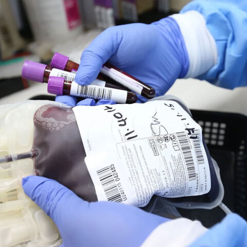 Παγκόσμια Ημέρα Εθελοντή Αιμοδότη - Το μήνυμα του υπουργού Υγείας Βασίλη Κικίλια