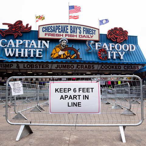 Κορωνοϊός στις ΗΠΑ