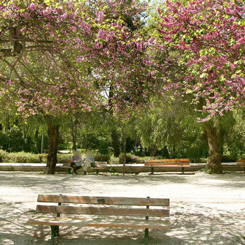 Άνδρες που συζητούσαν σε παγκάκι καταγγέλλουν ότι δέχθηκαν ομοφοβική επίθεση 