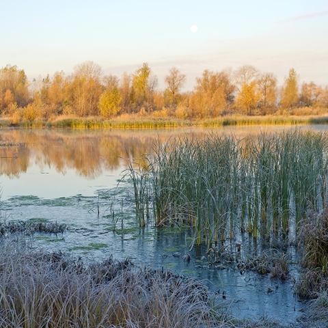 Στη Σιβηρία καταγράφηκε ο θερμότερος Μάιος από τότε που ξεκίνησα οι σχετικές μετρήσεις 