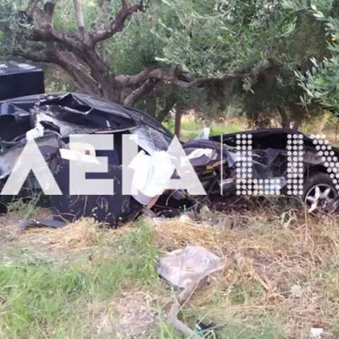 Ένας 17χρονος σκοτώθηκε σε τροχαίο στην Ηλεία - Το αυτοκίνητο «καρφώθηκε» σε ελιές