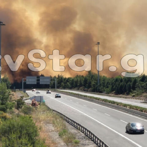 Φωτιά δίπλα στην Εθνική Οδό Αθηνών - Λαμίας στο ύψος του Μαρτίνου  
