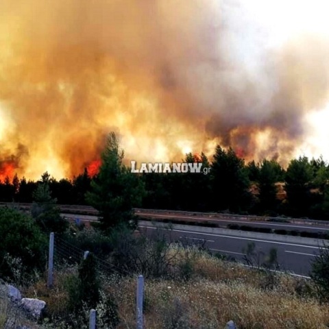 Φωτιά δίπλα στην Εθνική Οδό Αθηνών - Λαμίας στο ύψος του Μαρτίνου © lamianow.gr 