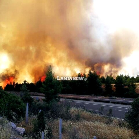 Φωτιά δίπλα στην Εθνική Οδό Αθηνών - Λαμίας στο ύψος του Μαρτίνου