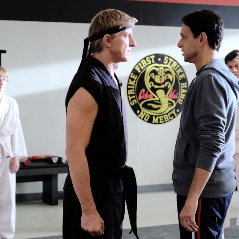 Cobra Kai 